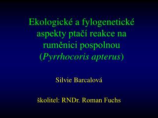 Ekologické a fylogenetické aspekty ptačí reakce na ruměnici pospolnou ( Pyrrhocoris apterus )