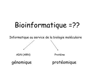 Bioinformatique =??