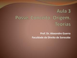 Aula 3 Posse. Conceito. Origem. Teorias