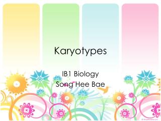 Karyotypes