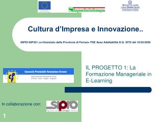 IL PROGETTO 1: La Formazione Manageriale in E-Learning