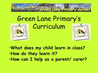 Green Lane Primary’s Curriculum