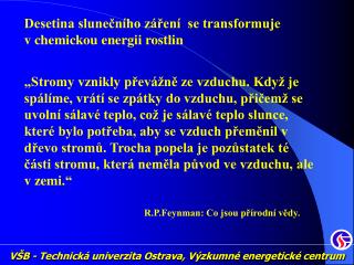 Desetina slunečního záření se transformuje v chemickou energii rostlin