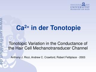 Ca 2+ in der Tonotopie