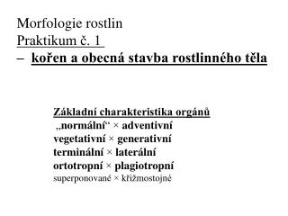 Základní charakteristika orgánů „ normální “ × adventivní vegetativní × generativní