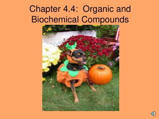 Chapter 4.4: Organic and Biochemical Compounds