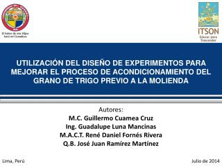 Autores: M.C. Guillermo Cuamea Cruz Ing. Guadalupe Luna Mancinas