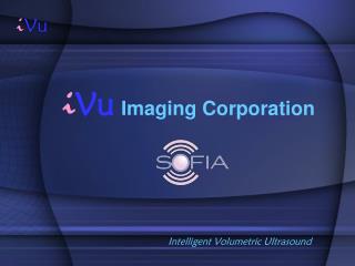 i Vu Imaging Corporation