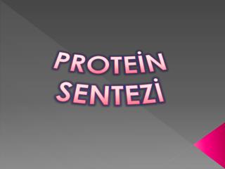 PROTEİN SENTEZİ