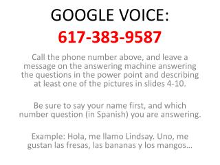 GOOGLE VOICE: 617-383- 9587