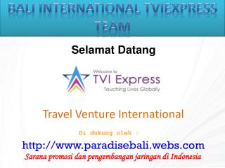Travel Venture International