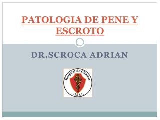 PATOLOGIA DE PENE Y ESCROTO