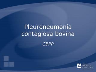 Pleuroneumonía contagiosa bovina