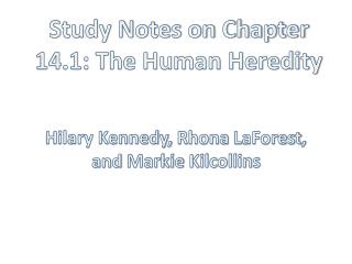 Study Notes on Chapter 14.1: The Human Heredity