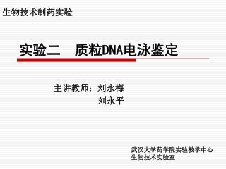 实验二 质粒 DNA 电泳鉴定