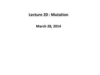 Lecture 20	: Mutation
