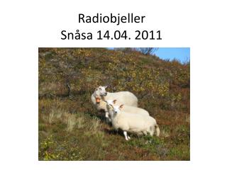 Radiobjeller Snåsa 14.04. 2011