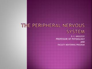 THE PERIPHERAL NERVOUS SYSTEM