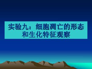 实验九：细胞凋亡的形态和生化特征观察