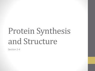 Protein Synthesis and Structure