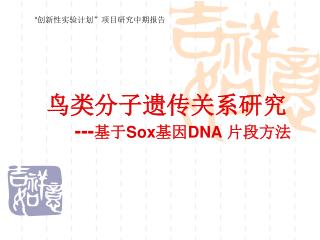 鸟类分子遗传关系研究 --- 基于 Sox 基因 DNA 片段方法
