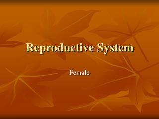 Reproductive System