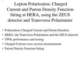 Polarisation, Charged Current and Parton Densities