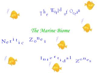 The Marine Biome