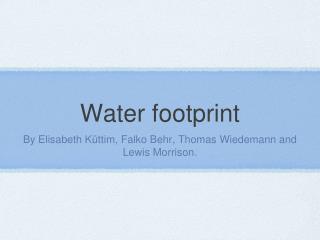 Water footprint