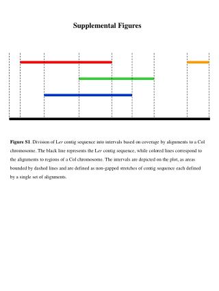 Supplemental Figures