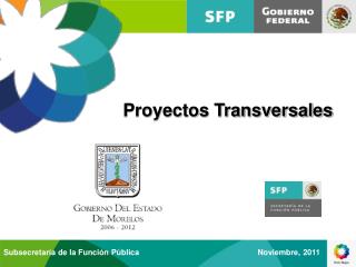 Proyectos Transversales