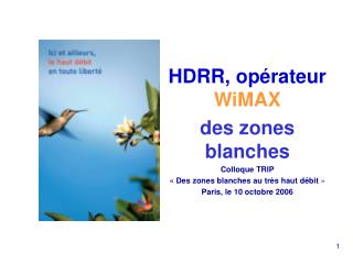 HDRR, opérateur WiMAX des zones blanches Colloque TRIP « Des zones blanches au très haut débit  »