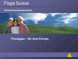 Flaga Suisse