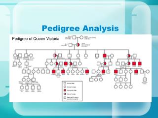 Pedigree Analysis