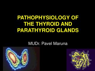 PATHOPHYSIOLOGY OF THE THYROID AND PARATHYROID GLANDS MUDr. Pavel Maruna