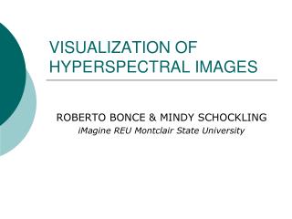 VISUALIZATION OF HYPERSPECTRAL IMAGES