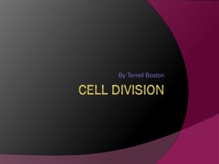 Cell division