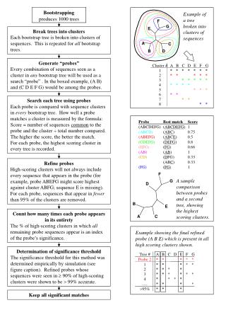 Determination of significance threshold