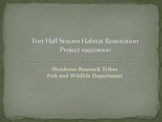 Fort Hall Stream Habitat Restoration Project 199201000