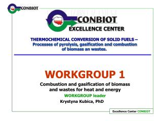 WORKGROUP 1 Combustion and gasification of biomass and wastes for heat and energy WORKGROUP leader