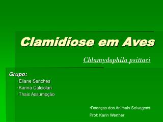 Clamidiose em Aves