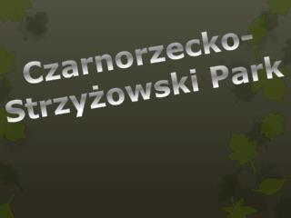 Czarnorzecko -Strzyżowski Park