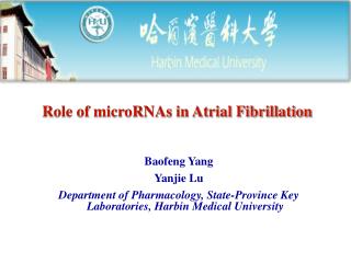 Role of microRNAs in Atrial Fibrillation