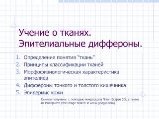 Учение о тканях. Эпителиальные диффероны.