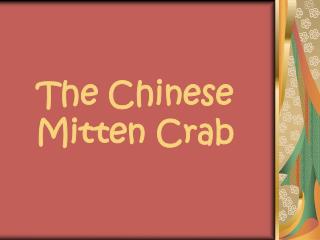 The Chinese Mitten Crab