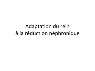 Adaptation du rein à la réduction néphronique