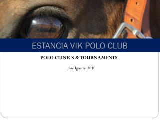 ESTANCIA VIK POLO CLUB