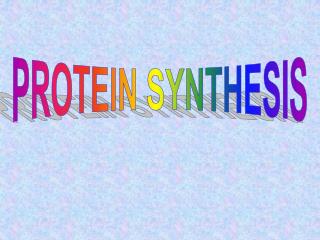 PROTEIN SYNTHESIS