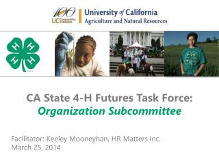 CA State 4-H Futures Task Force: Organization Subcommittee