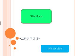 “ 그린이구아나 ”